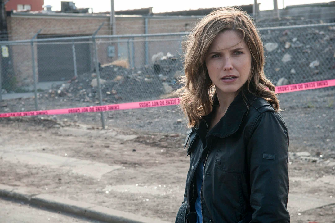 Кадр 3 из сериала Полиция Чикаго 8 сезон (2021)